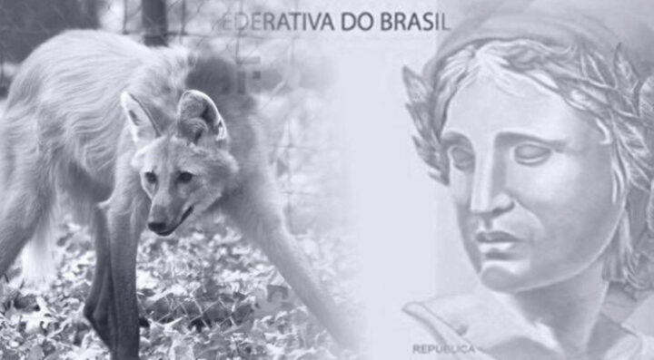 A Repórter - Portal de Notícias