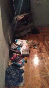 484CF8C4 A107 4822 84C9 D683912E263F