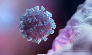 2020 09 14t100015z 824909996 rc2ayi9vq4uf rtrmadp 3 health coronavirus regeneron