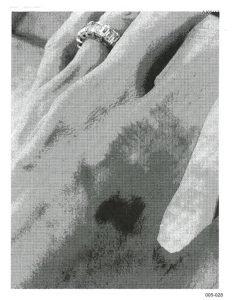 Mao de Angelina Jolie 1