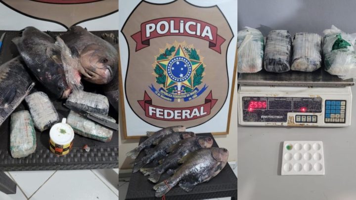A Repórter - Portal de Notícias