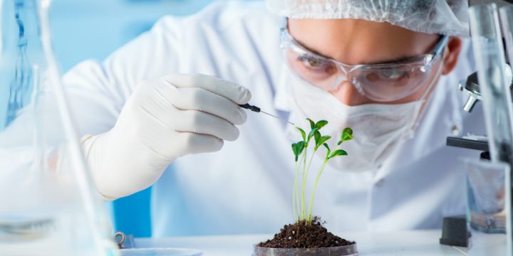 Biotecnologia