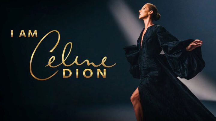 IMCELINE