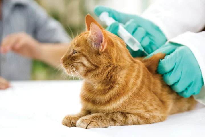 thinkstockphotos 455695827 1920w