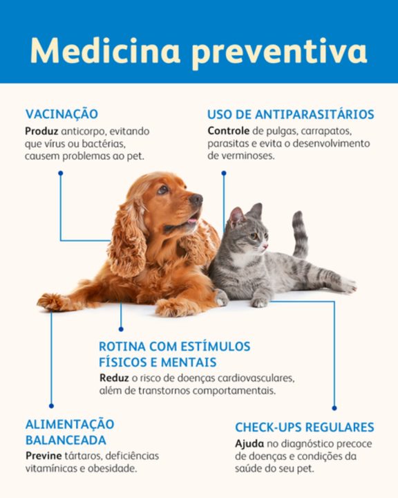 Cartaz Cuidados