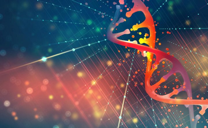 DNA