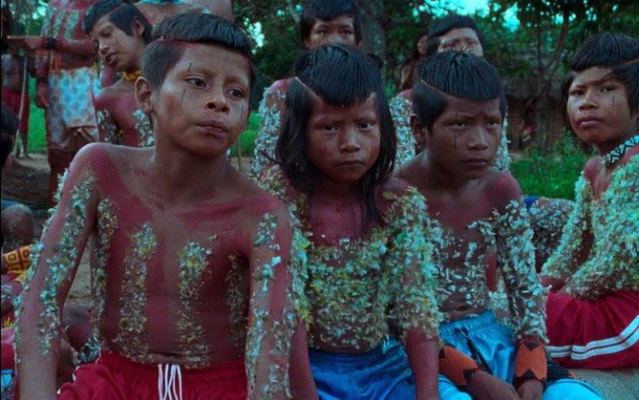 a flor do buriti estreia nesta quinta