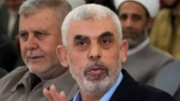 Crise humanitária em Gaza: vítimas devoradas por cães e morte do líder do Hamas 1 yahya sinwar lider do hamas em gaza 1722976192457 v2 900x506.jpg