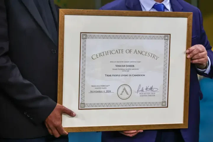 certificado ancestraliade vini jr