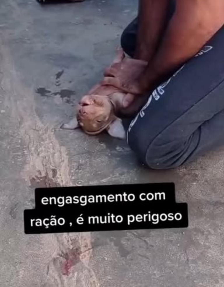 A Repórter - Portal de Notícias