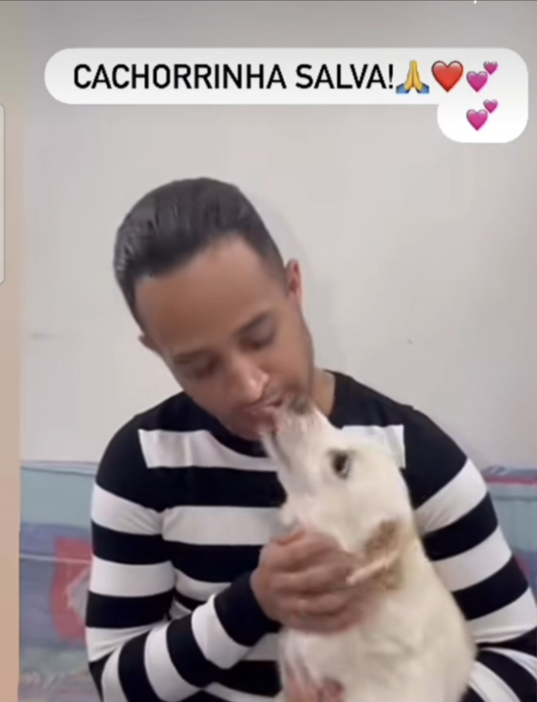 Covardia: cachorrinha é vítima de maus-tratos, é salva a tempo, mas agressor não é procurado 1 Screenshot 20260121 020317 Gallery