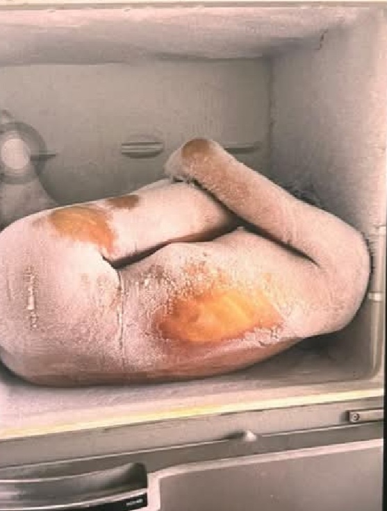 Corpo de jovem desaparecida é encontrado dentro de freezer na Bahia 1 Screenshot 20260330 230523 Facebook