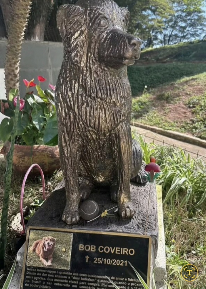 Primeiro cachorro enterrado em cemitério humano no Brasil comove pela história de fidelidade 2 Screenshot 20260411 153624 Gallery