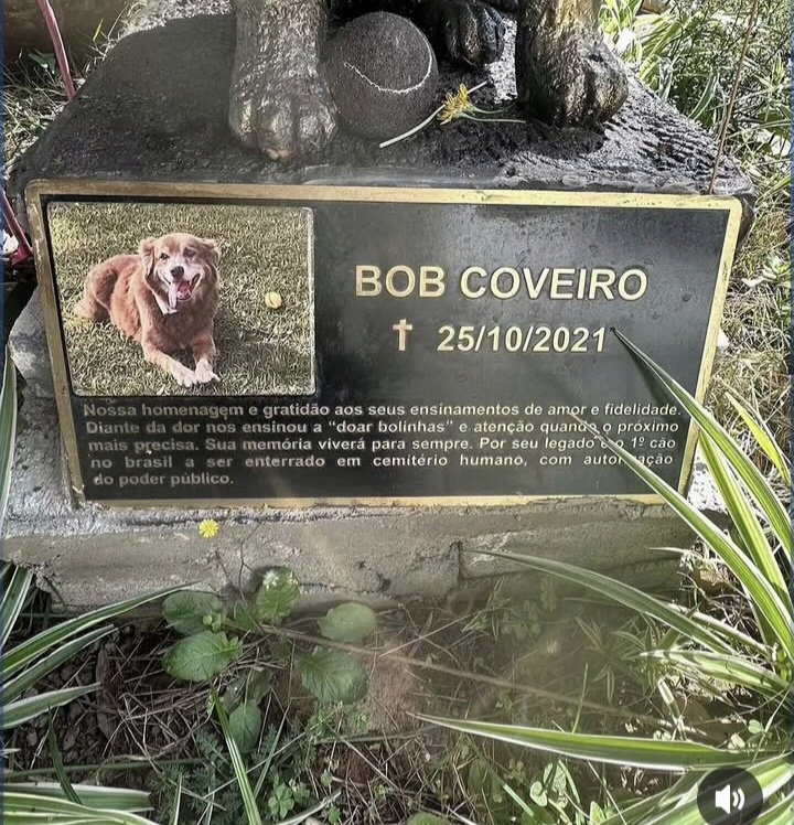 Primeiro cachorro enterrado em cemitério humano no Brasil comove pela história de fidelidade 3 Screenshot 20260411 153637 Gallery