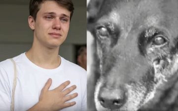 Transforma dor em ação: envolvido no caso do cão Orelha anuncia instituto para resgate de animais