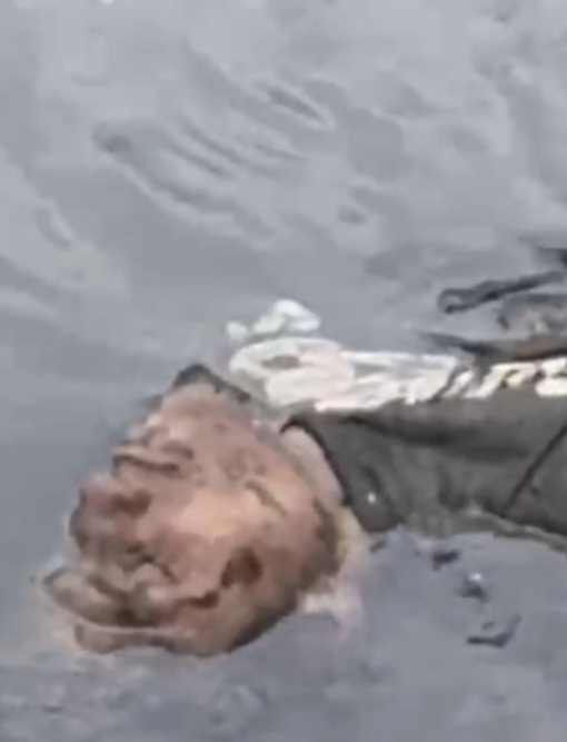 Mulher se desespera ao encontrar corpo de parente em igarapé de Manaus; vídeo choca 1 Screenshot 20260619 150744 Gallery