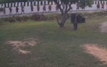 Menino de 11 anos atropela grupo de monges na Tailândia e número de mortos sobe para 10