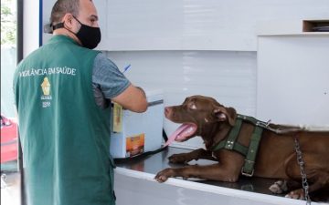 Serviço de castração da Prefeitura de Manaus abre vagas para agendamento nesta quarta-feira