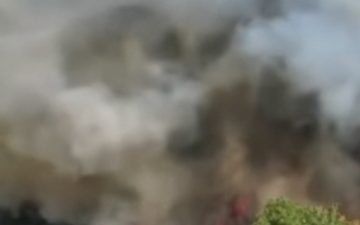 Incêndios florestais na Europa obrigam mais de 320 mil pessoas a deixarem suas casas