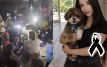 Advogada morre protegendo cachorro durante terremoto na Colômbia