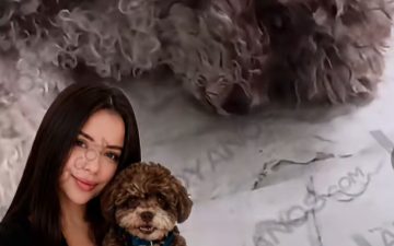 Está muito triste”: cão resgatado após terremoto parece sentir a ausência da tutora