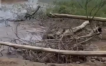 Balsa com veículos e cargas fica parcialmente submersa no Rio Amazonas, em Parintins