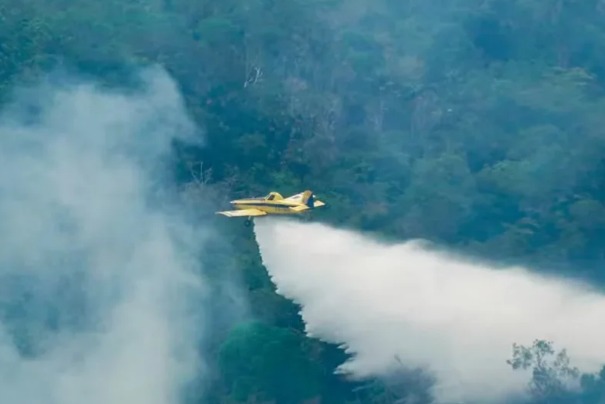avioes do ibama